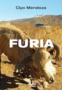 Furia - Clyo Mendoza - ebook