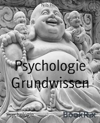 Psychologie Grundwissen - Nils Horn - ebook