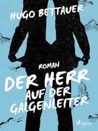 Der Herr auf der Galgenleiter - Hugo Bettauer - ebook