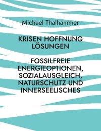Krisen Hoffnung Lösungen - Michael Thalhammer - ebook