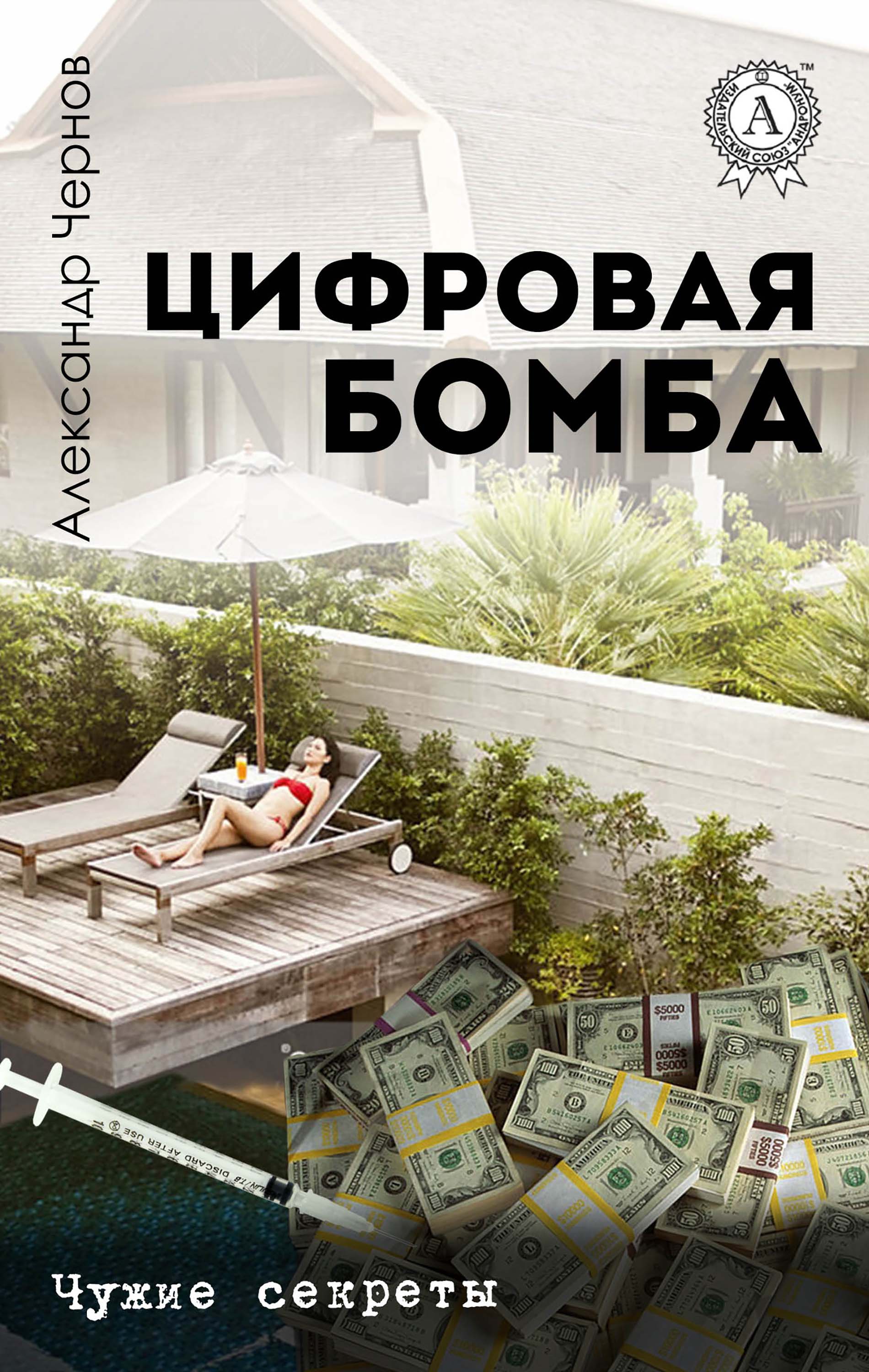 Цифровая бомба. Чужие секреты