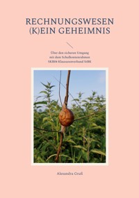 Rechnungswesen (k)ein Geheimnis - Alexandra Gruß - ebook