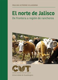 El norte de Jalisco - Paulina Ultreras Villagrana - ebook