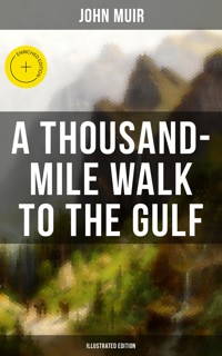 A THOUSAND-MILE WALK TO THE GULF (Illustrated Edition) - John Muir - ebook