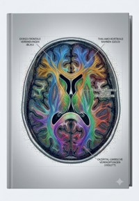Leben mit Schizophrenie - Antonio Mario Zecca - ebook