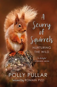 A Scurry of Squirrels - Polly Pullar - ebook