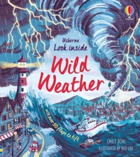 Look inside Wild Weather - Bone Emily - książka