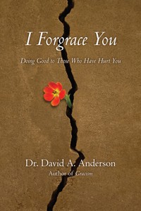 I Forgrace You - David A. Anderson - ebook