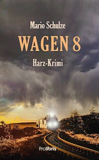 Wagen 8 - Mario Schulze - ebook