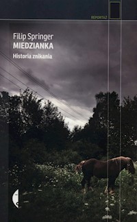 Miedzianka - Filip Springer - książka