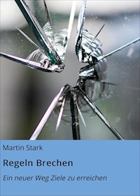 Regeln Brechen - Martin Stark - ebook