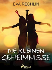 Die kleinen Geheimnisse - Eva Rechlin - ebook