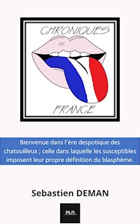 Chroniques de France - Sébastien Deman - ebook