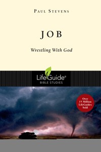 Job - R. Paul Stevens - ebook