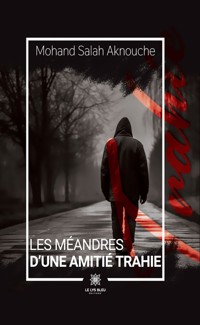 Les méandres d’une amitié trahie - Mohand Salah Aknouche - ebook