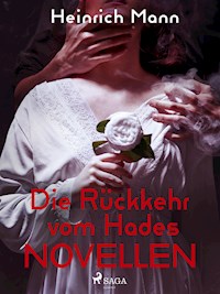Die Rückkehr vom Hades - Novellen - Heinrich Mann - ebook