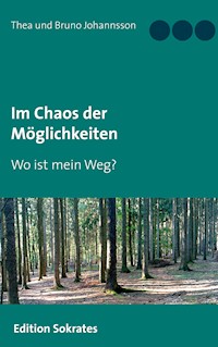 Im Chaos der Möglichkeiten - Thea Johannsson - ebook