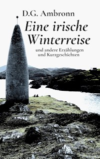 Eine irische Winterreise - D.G. Ambronn - ebook