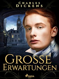 Große Erwartungen - Dickens Charles - ebook