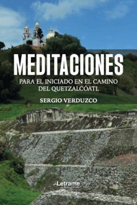 Meditaciones - Sergio. Vertduzco - ebook