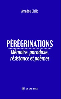 Pérégrinations - Amadou Diallo - ebook