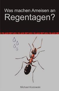 Was machen Ameisen an Regentagen ? - Michael Koslowski - ebook