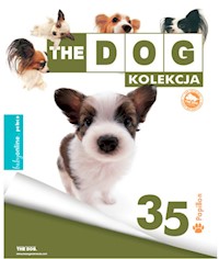 Papillon -  - książka