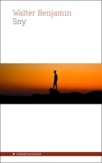 Sny - Walter  Benjamin - książka