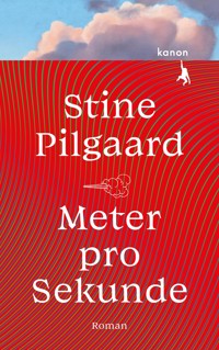 Meter pro Sekunde - Pilgaard Stine - ebook