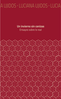 Un invierno sin cenizas - Luciana Ujidos - ebook
