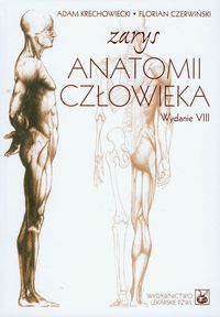 Zarys anatomii człowieka - Krechowiecki Adam, Czerwiński Florian - książka