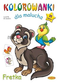 Kolorowanki dla malucha Fretka - Budek Mariola - książka