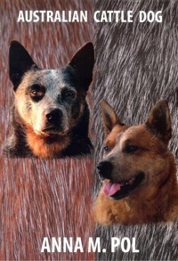 Australian Cattle Dog - Pol Anna M. - książka
