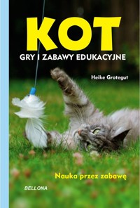 Kot Gry i zabawy edukacyjne - Grotegut Heike - książka