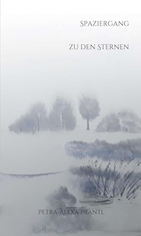 Spaziergang zu den Sternen - petra-alexa prantl - ebook