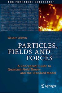 Particles, Fields and Forces - Wouter Schmitz - ebook
