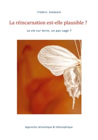 La réincarnation est-elle plausible ? - Frédéric Hoebeeck - ebook