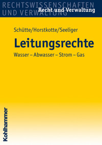 Leitungsrechte - Dieter B. Schütte - ebook