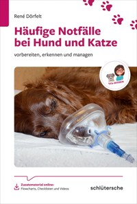Häufige Notfälle bei Hund und Katze - René Dörfelt - ebook
