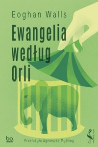 Ewangelia według Orli - Walls Eoghan - książka