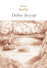 Dobre decyzje - Socha Sebastian - książka