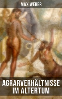 Agrarverhältnisse im Altertum - Max Weber - ebook