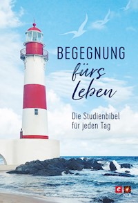 Begegnung fürs Leben - SCM R.Brockhaus - ebook