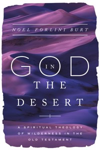 God in the Desert - Noel Forlini Burt - ebook