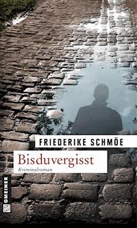 Bisduvergisst - Friederike Schmöe - ebook