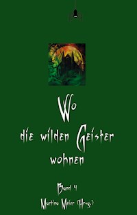 Wo die wilden Geister wohnen - Martina Meier - ebook