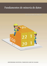 Fundamentos de minería de datos - Jorge Enrique Rodríguez Rodríguez - ebook