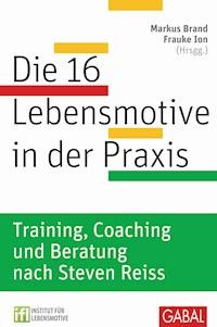 Die 16 Lebensmotive in der Praxis -  - ebook