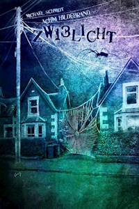 Zwielicht 13 - Achim Hildebrand - ebook