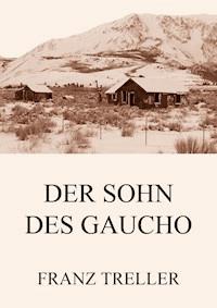 Der Sohn des Gaucho - Franz Treller - ebook